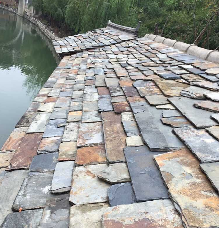 1489731999848067024.png
