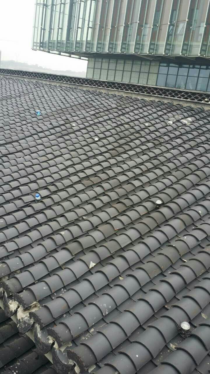 1490850942887062491.jpg