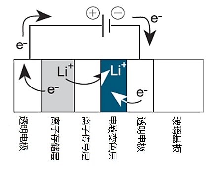 1534904113806071064.jpg
