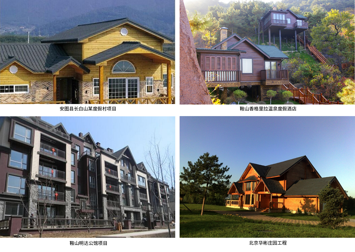 迪斯卡维彩虹金属瓦.jpg