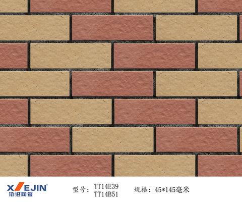 厂家直销45*145通体外墙砖别墅仿古磁砖福建亚光斑点麻面陶瓷砖