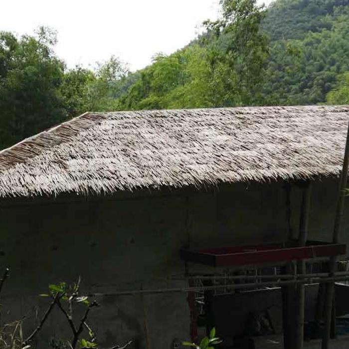 塑纤仿真茅草