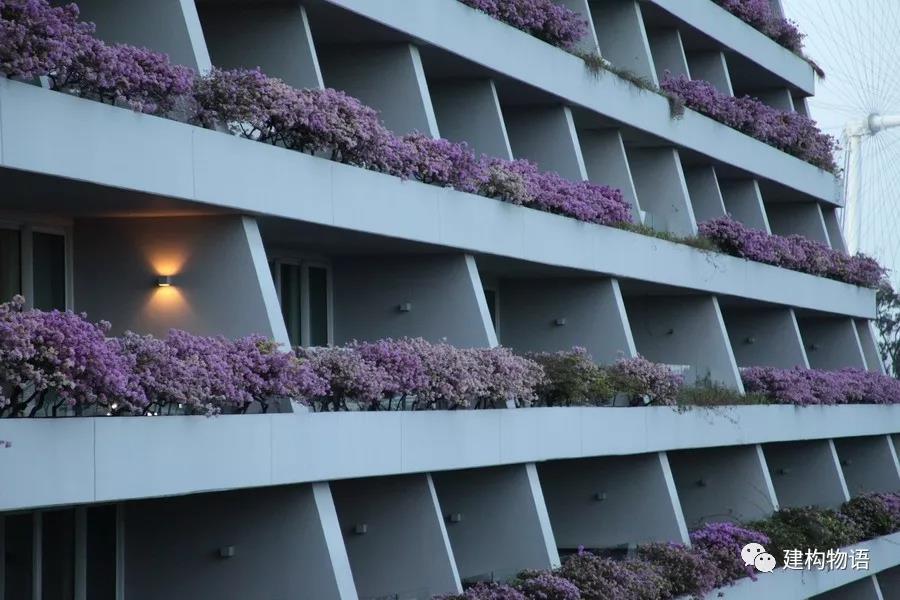 新加坡滨海湾金沙酒店（Marina Bay Sands ）的阳台绿化.jpg