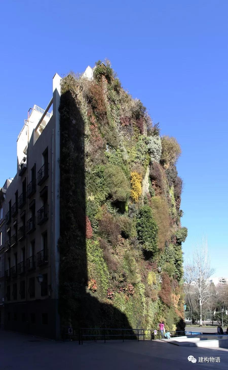 西班牙马德里 Caixa文化中心旁的绿化墙.jpg